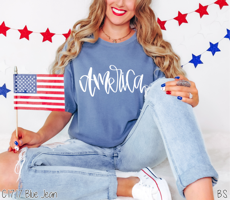 America Script Hand Lettered #BS8014 – Bama Signs & Screens