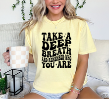 Load image into Gallery viewer, Deep Breath And Remember #BS7129