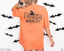 Load image into Gallery viewer, The Old Salem #BS8465-66