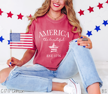 Load image into Gallery viewer, America The Beautiful #A22
