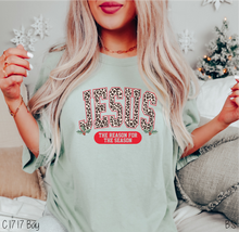 Load image into Gallery viewer, Arched Jesus Reason Season #BS6162
