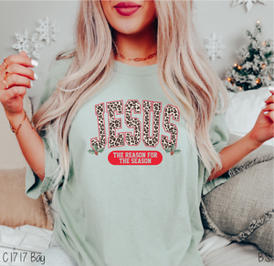 Arched Jesus Reason Season #BS6162