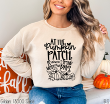 Load image into Gallery viewer, At The Pumpkin Patch #BS2125
