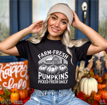 Load image into Gallery viewer, Barn Fresh Pumpkins Daily #BS7204
