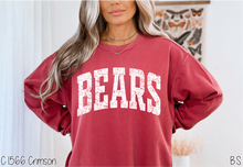 Load image into Gallery viewer, Bears Distressed Arch #BS8554
