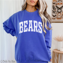 Load image into Gallery viewer, Bears Distressed Arch #BS8554
