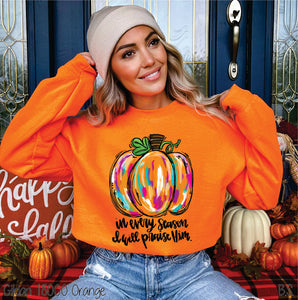 Bright Pumpkin In Every Season #BS7198