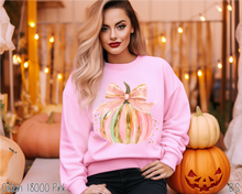 Load image into Gallery viewer, Brushstroke Coquette Pumpkin #BS8357
