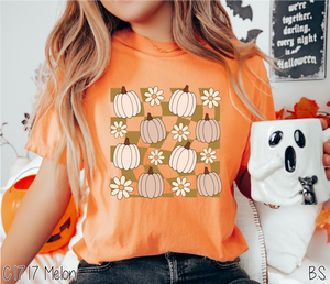 Checkered Fall Pumpkin Daisy #BS7194