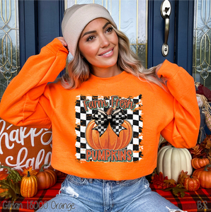 Checkered Farm Fresh Pumpkins #BS7325