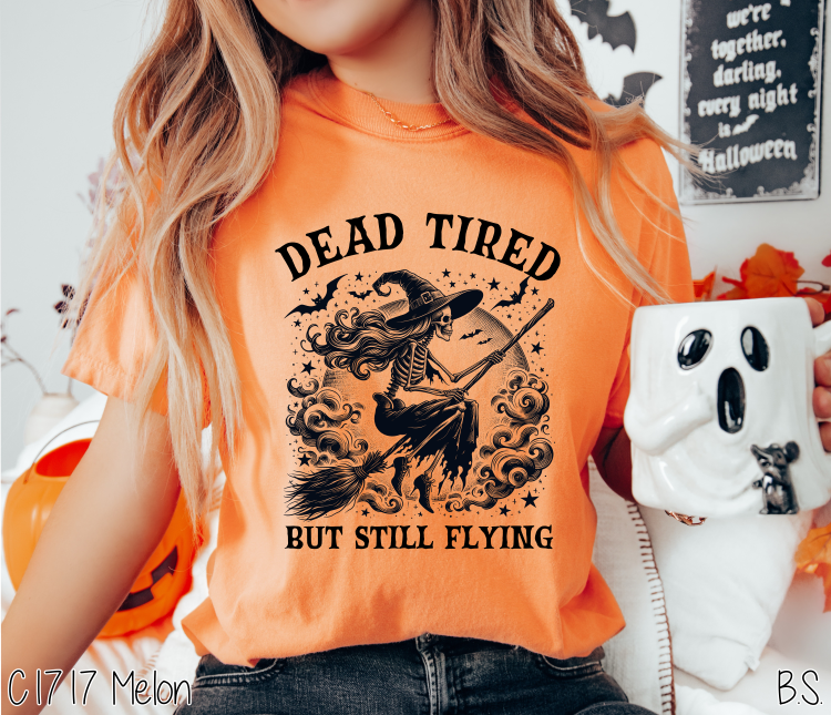 Dead Tired But Still Flying #BS7163