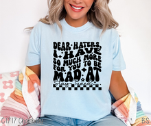 Load image into Gallery viewer, Dear Haters Stay Tuned #BS6618
