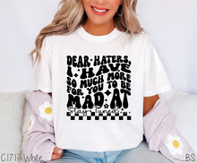 Load image into Gallery viewer, Dear Haters Stay Tuned #BS6618
