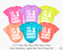 Load image into Gallery viewer, Exclusive I'm The Grammy Bunny #BS8990 *PREORDER CLOSING SUNDAY 3/1 @ MIDNIGHT CST
