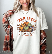 Load image into Gallery viewer, Farm Fresh Pumpkin Collage #BS7175
