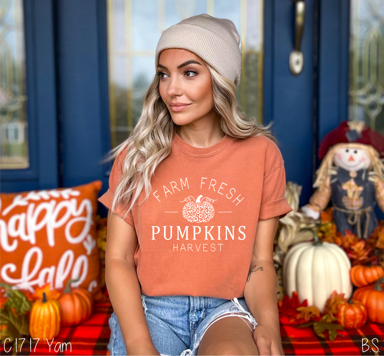 Farm Fresh Pumpkins Harvest #BS5977