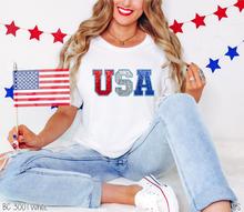 Load image into Gallery viewer, Faux Sequin Embroidery USA #BS6967
