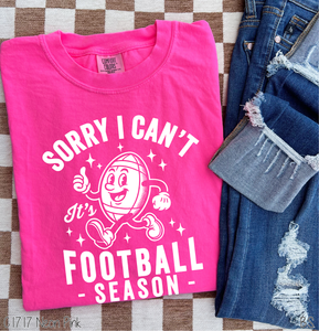 Football Season Sorry Can't #BS8417 *8/24 PRINTS ON ORDER AND EXTRAS POSTED FOR PURCHASE BEFORE ARRIVAL