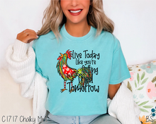 Load image into Gallery viewer, Getting Fried Tomorrow #BS6503
