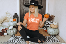 Load image into Gallery viewer, Grunge Spooky Web #BS7164
