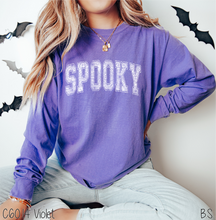 Load image into Gallery viewer, Grunge Spooky Web #BS7164
