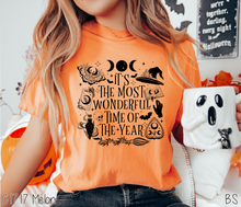 Load image into Gallery viewer, Halloween Most Wonderful Time #BS7261
