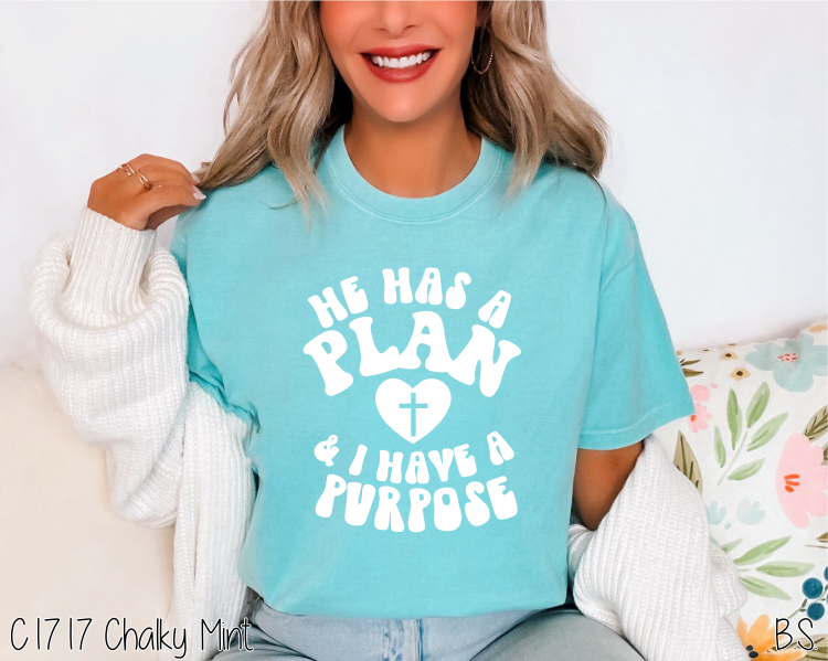 A Plan And A Purpose #BS4046