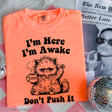 Load image into Gallery viewer, Here Awake Don&#39;t Push #BS8384
