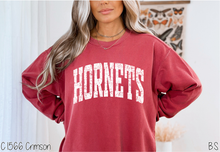Load image into Gallery viewer, Hornets Distressed Arch #BS8591 *10/5 PRINTS ON ORDER AND EXTRAS POSTED FOR PURCHASE BEFORE ARRIVAL
