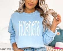 Load image into Gallery viewer, Hornets Fun Doodle #BS8907
