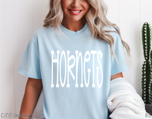 Load image into Gallery viewer, Hornets Fun Doodle #BS8907
