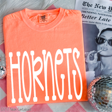 Load image into Gallery viewer, Hornets Fun Doodle #BS8907
