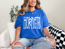 Load image into Gallery viewer, Hornets Fun Doodle #BS8907
