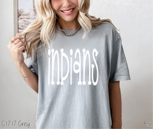 Load image into Gallery viewer, Indians Fun Doodle #BS8902
