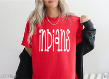 Load image into Gallery viewer, Indians Fun Doodle #BS8902
