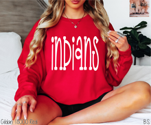 Load image into Gallery viewer, Indians Fun Doodle #BS8902
