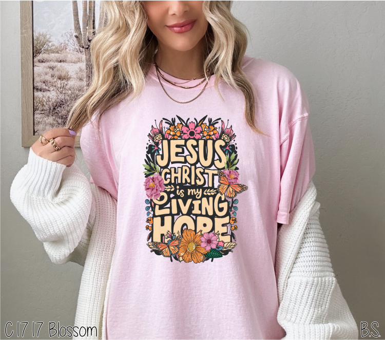 Jesus Christ Is My Living Hope #BS6502