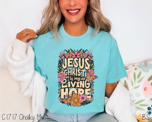 Jesus Christ Is My Living Hope #BS6502