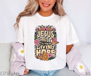 Jesus Christ Is My Living Hope #BS6502