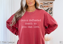 Load image into Gallery viewer, Exclusive Jesus Defeated Death #BS8516
