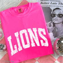 Load image into Gallery viewer, Lions Distressed Arch #BS8552
