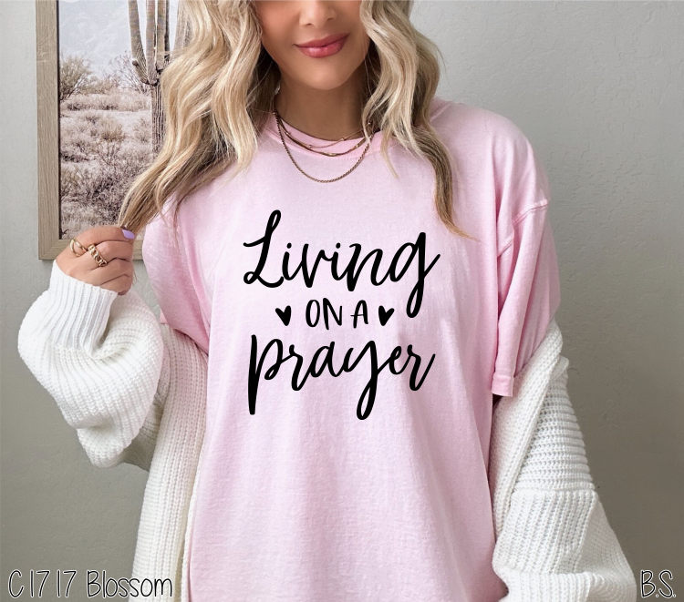 Living On A Prayer #BS272