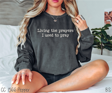 Load image into Gallery viewer, Living The Prayers #BS6515
