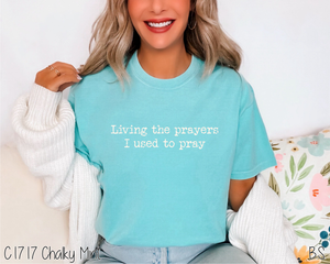 Living The Prayers #BS6515