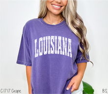 Load image into Gallery viewer, Louisiana Distressed Arch #BS8493
