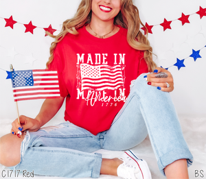 Made In America Retro Flag #BS6927