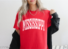 Load image into Gallery viewer, Mississippi Distressed Arch #BS8494
