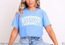 Load image into Gallery viewer, Mississippi Distressed Arch #BS8494
