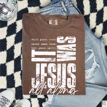 Load image into Gallery viewer, One Color It Was Jesus #BS8344
