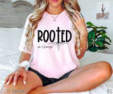 Load image into Gallery viewer, One Color Rooted In Christ #BS8032
